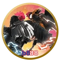 b888